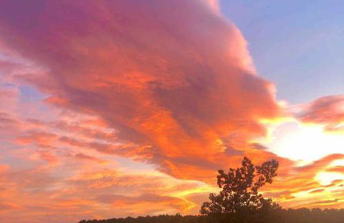 Cute tiny house - Foto 24