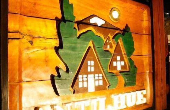 Cabañas Antilhue - Foto 9