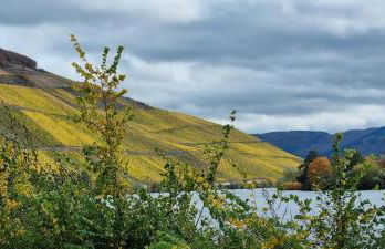 Moselglück - Foto 16