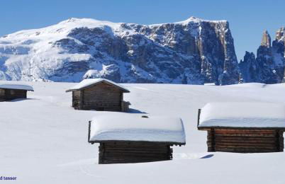 Apartment Gertrud - Foto 15