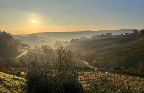 Vineyard Farmhouse in Massignano - Foto 35