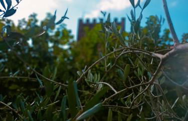 La Torre di Barbara - Foto 65