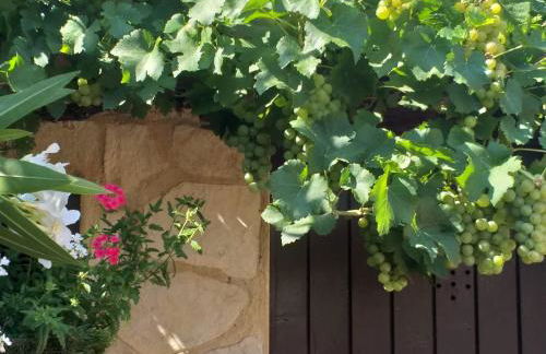 Lou Bagnou Mi-Clos - Foto 31