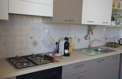 Hibiscus Rosso - Foto 18