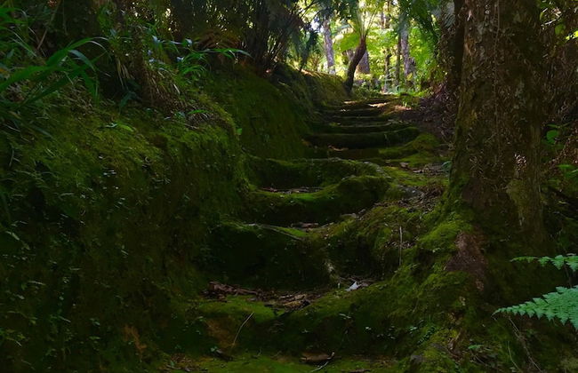 Ideal Para Familia Pequena O Grupo De Tres Amigos - Foto 10