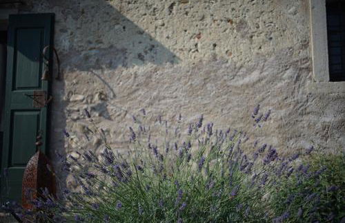 Ca Nova Agriturismo - Foto 57