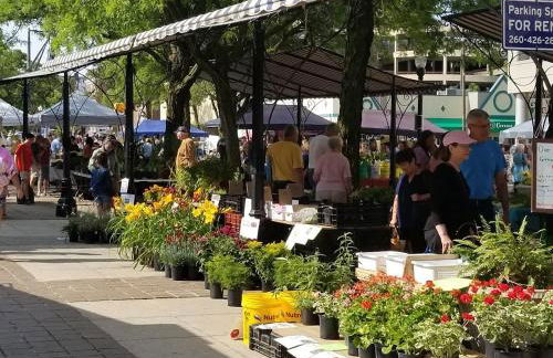 King Bed, Stocked Kitchen, Easy Driveway Parking, 2mi to Downtown & Coliseum - Foto 70