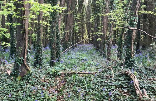 Little Stables Cottage - Photo 29