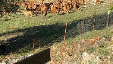 Diakopi Villa - Foto 3