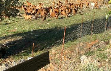 Diakopi Villa - Foto 3