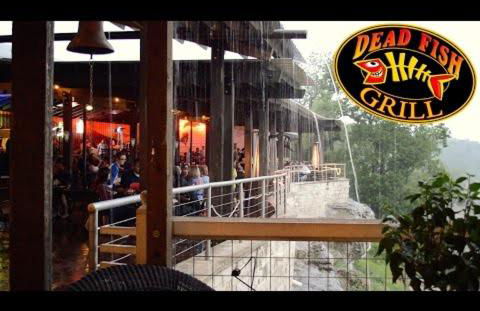 Country Lake Ranch - Foto 20