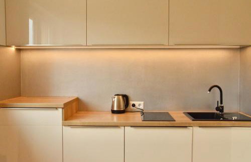 Apartamenty Agroturystyczne Papiernia Grill, Sauna & Jacuzzi - Foto 14