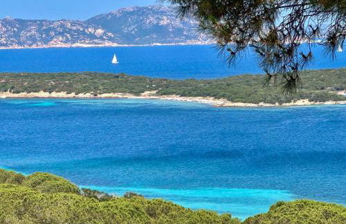 House with amazing view - Photo 14