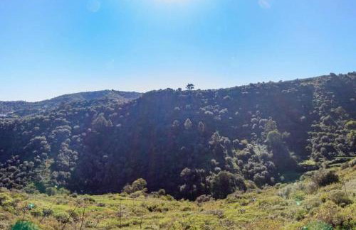 Casa cueva El Balcón del Cortijo - Foto 23