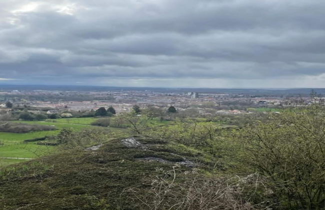House in Vosges Near Forest and Hiking Trails - Photo 43