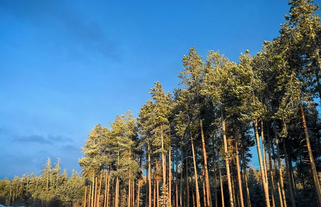 Red Canyon Lodge - Foto 54