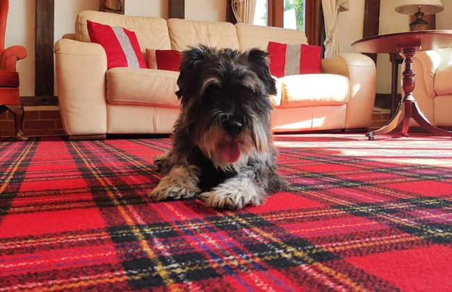 Doves Barn - Foto 14