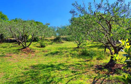 Apartman Pelcic,with WiFi and free parking - Foto 13