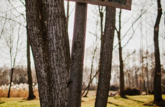 Bujanie w sitowiu - Foto 73