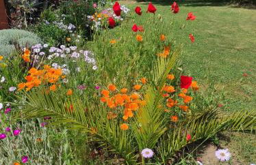 grand studio duplex avec jardin - Foto 17