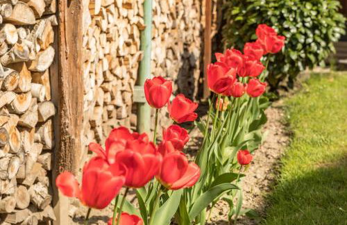 Haus Schneider - Foto 20