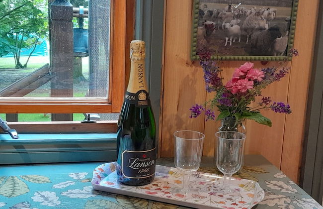 Little Greenwood Shepherd Hut - Sleeps 2 - Foto 12