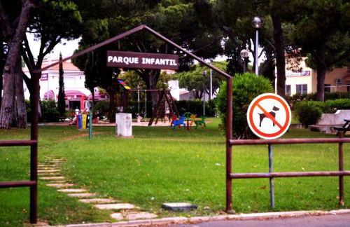 Sailing Studio Açoteias - Foto 26