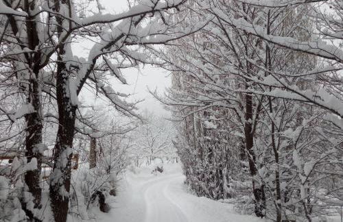 Cortijo Ramon Petra - Foto 42