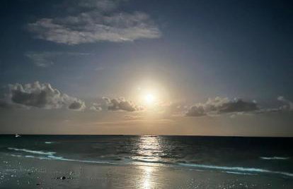 Casa Flor São Miguel dos milagres 11 - Foto 30