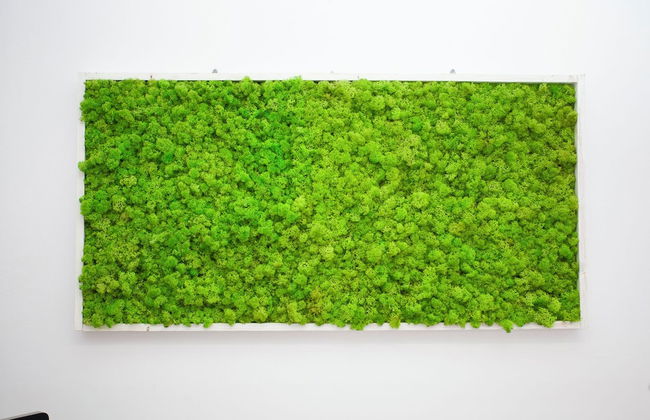 Design Family Apartment in Leiden Center 6p & Baby - Foto 40