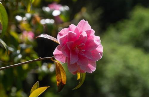 Torloisk House - Foto 42