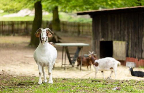 Heide Ferien - Hof Bockelmann - Foto 20