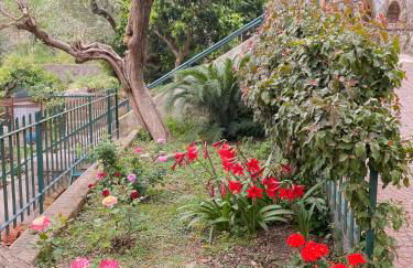 Casa Honey - Foto 19