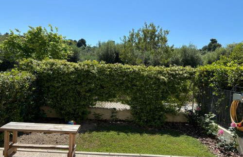 La Marisetta - Foto 11