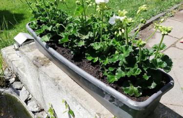 am Balkon des Erzgebirges - Foto 6