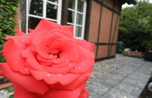 Buchenhof-Nordheide - Foto 9