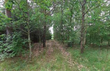 Dom na Kresach Grzybowszczyzna - Photo 28