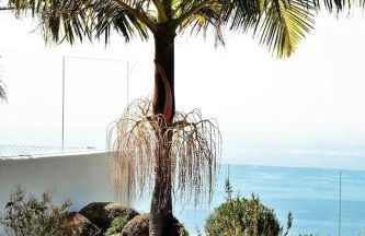 Casa PERSEIDAS - Foto 46