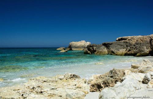 Il riposo dei Giganti - Photo 43