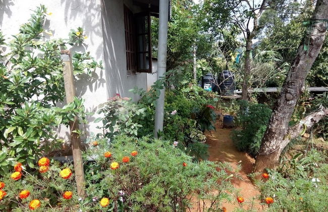 St Clair Holiday Home - Foto 11