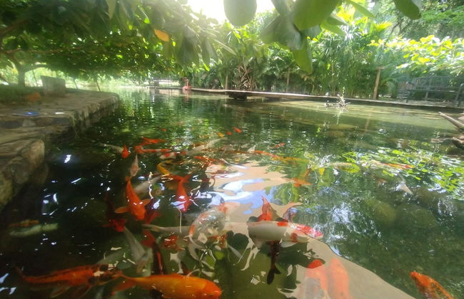 Ecohotel Villa Russo - Foto 18