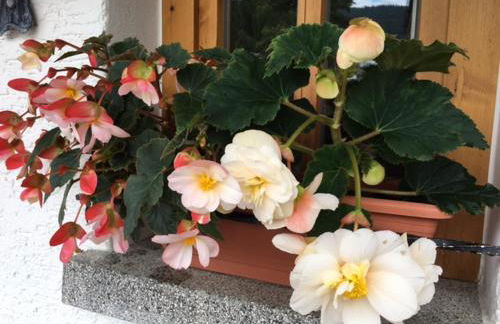 Haus Seidl - Foto 51