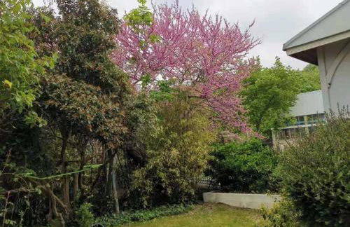 Appart luxueux 3+1 pcs avec jardin à 3 km de Paris - Foto 11