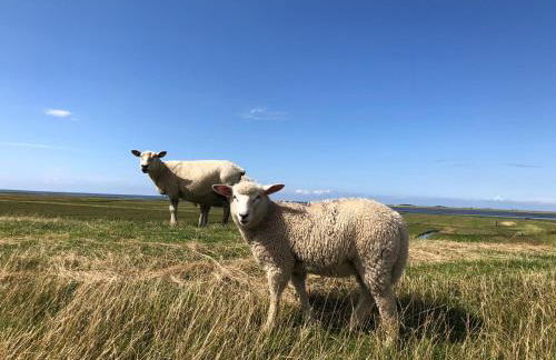 Beach Home - Photo 61