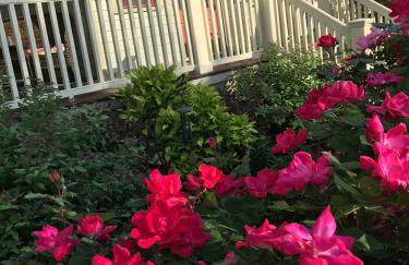 3BR Beautiful Remodeled Victorian w/ Beach Locker - Foto 25