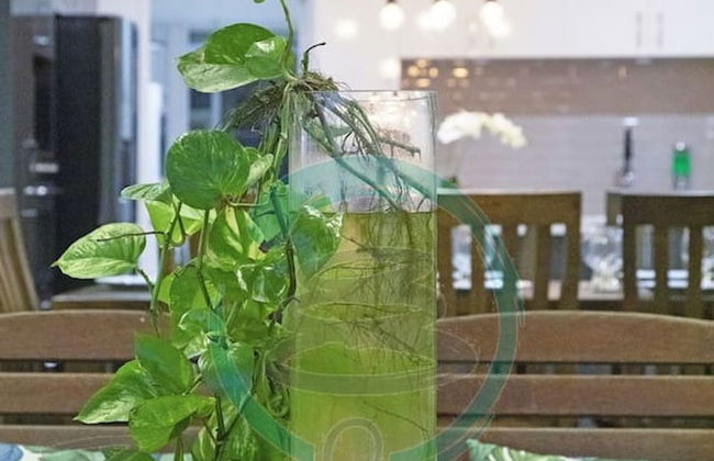 Zenhouse Stylish Lawn Workspace Outdoordining - Foto 21