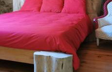 Maison de charme à la Salvetat-sur-Agout 3 chambres - Foto 78