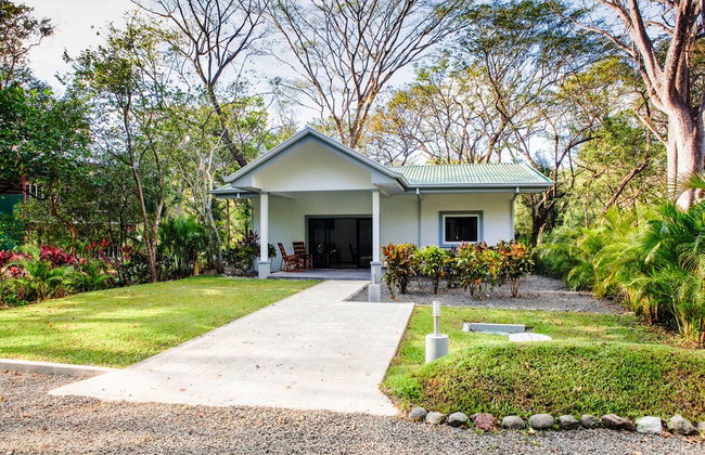 Hidden Palms Nosara - Photo 46