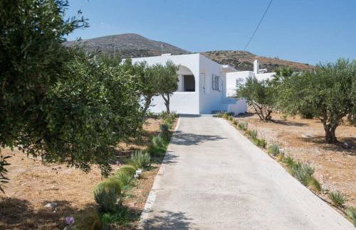 MFP Dryos Paros House Project - Photo 4