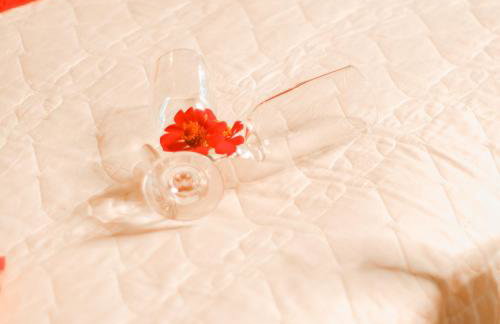 Rancho das Estrelas - Foto 20